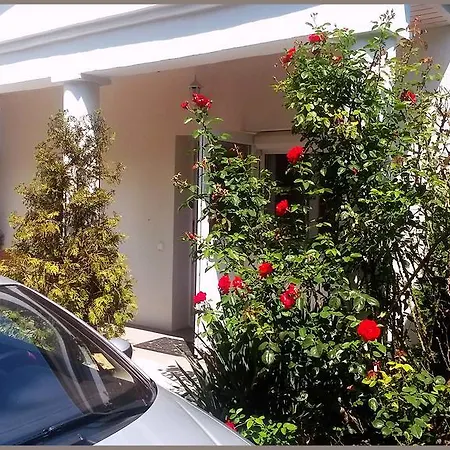 Gasthof White & Quiet Apartment House