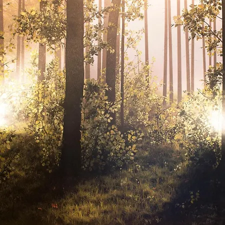 White & Quiet Apartment House 4*