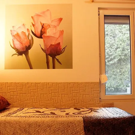 Guest house White & Quiet Apartment House
