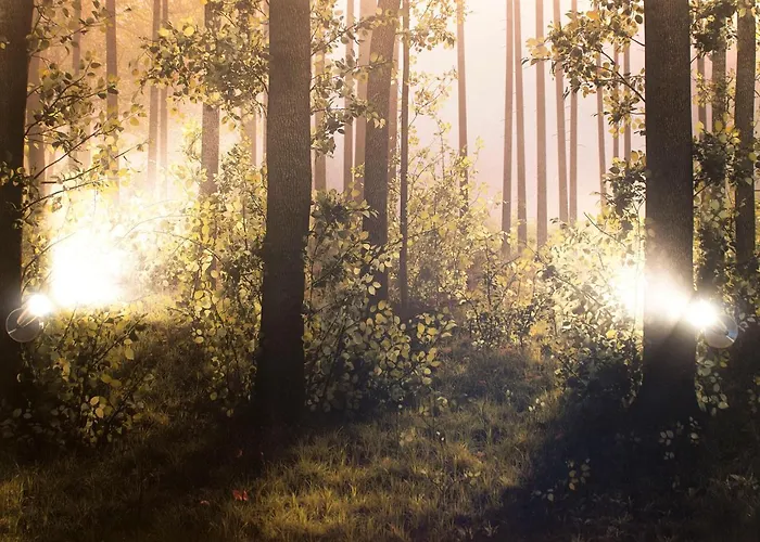 White & Quiet House 4*